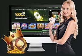 5500betvip